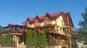 Pensiunea Rozmarin, Borca